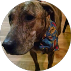 Profile photo of Waylon Lowry