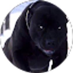 Profile photo of Jose Juarez