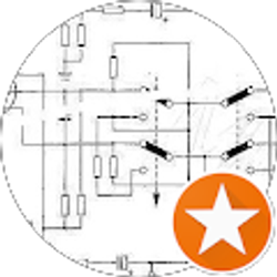 Profile photo of Scott Trinh