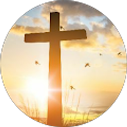 Profile photo of Seth Ski