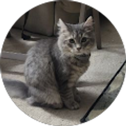 Profile photo of Sonia Steele