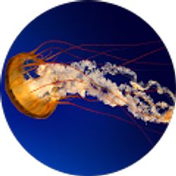 Profile photo of Mariana Manole