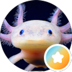 Profile photo of David Cruz