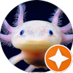 Profile photo of David Cruz