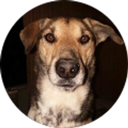 Profile photo of Hot,tired &stillugly