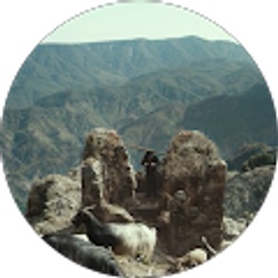 Profile photo of dntfeed thecnnbls