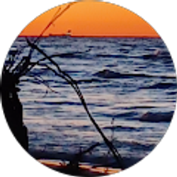 Profile photo of Susan Thomas