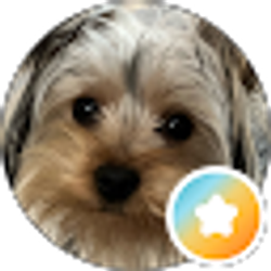 Profile photo of Sandi Franklin