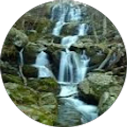 Profile photo of Mandy Beckman