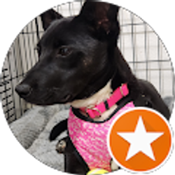 Profile photo of Bill Hagan