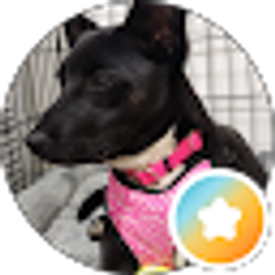Profile photo of Bill Hagan