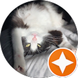 Profile photo of Jake Hall