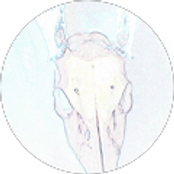 Profile photo of George Jahner