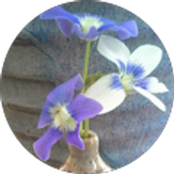 Profile photo of Elizabeth Hammon