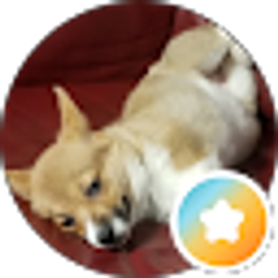 Profile photo of 1HDOilfield Dad