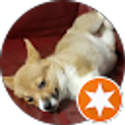 Profile photo of 1HDOilfield Dad