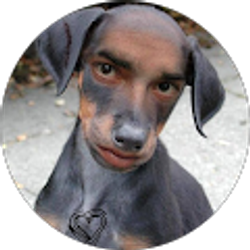 Profile photo of Mike Bridge (Mechn8r)