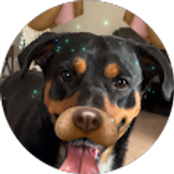 Profile photo of Angie Harbour