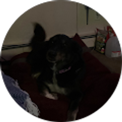 Profile photo of Tricia Hardee