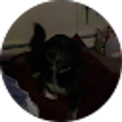 Profile photo of Tricia Hardee