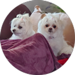 Profile photo of Mrs D