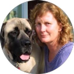 Profile photo of Suo Mex