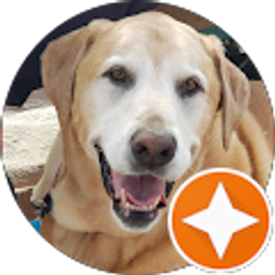 Profile photo of Peter Siekmann