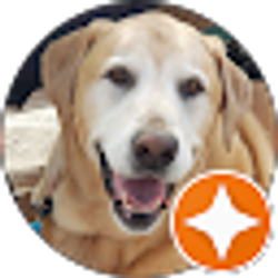 Profile photo of Peter Siekmann