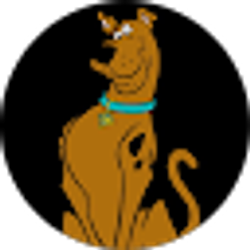 Profile photo of scott salters