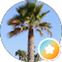 Profile photo of Rachel Orloff
