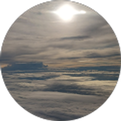 Profile photo of Summer