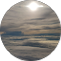 Profile photo of Summer