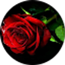 Profile photo of Liz Orozco