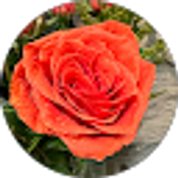 Profile photo of Monica Gates