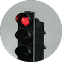 Profile photo of Dylan Flores