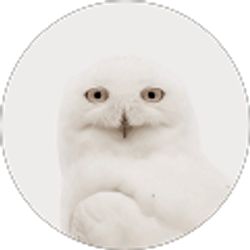 Profile photo of Beth Kyle