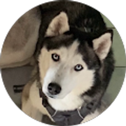 Profile photo of Melissa Duff