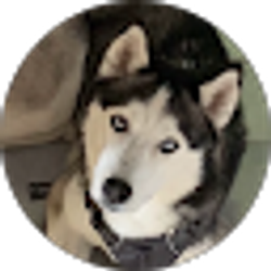 Profile photo of Melissa Duff