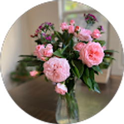 Profile photo of Dana Dan