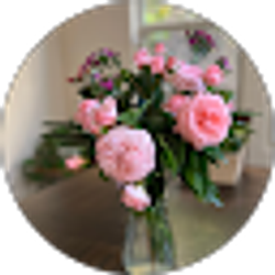 Profile photo of Dana Dan