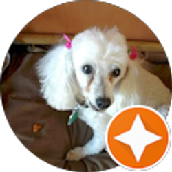 Profile photo of Sandra Hasseler