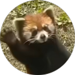 Profile photo of David Kohler