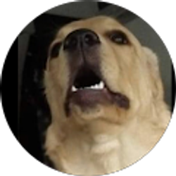Profile photo of Khalid Ahson