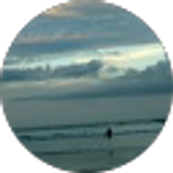 Profile photo of Arlene Ferrante