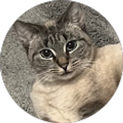 Profile photo of judson lay