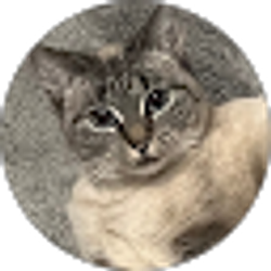Profile photo of judson lay