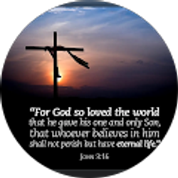 Profile photo of Elizabeth Martinez