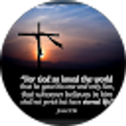 Profile photo of Elizabeth Martinez