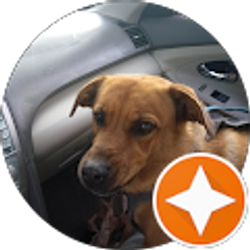 Profile photo of James Clark