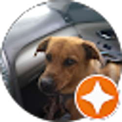 Profile photo of James Clark